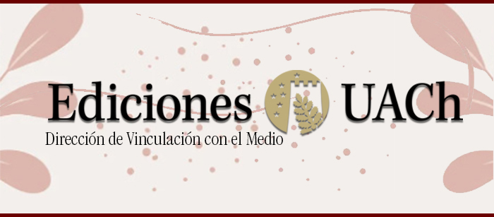 BannerWeb_Cel_VCM